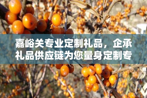 嘉峪关专业定制礼品，企承礼品供应链为您量身定制专属礼品